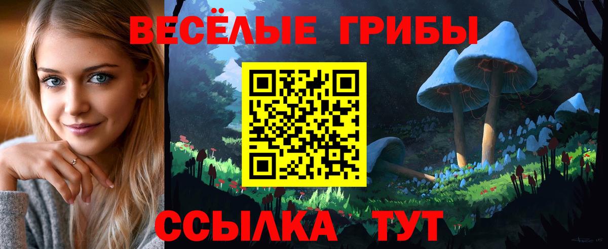 Галлюциногенные грибы GOLDEN TEACHER  Псилоцибиновые грибы мицелий  Вход с VPN  Сосновый Бор 