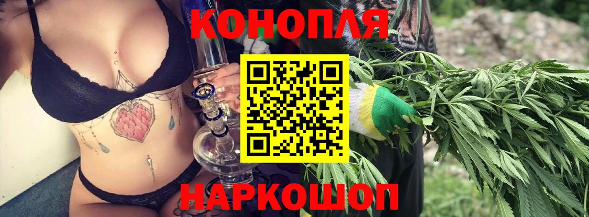 Конопля SATIVA & INDICA Сосновый Бор